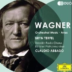 copertina WAGNER RICHARD Orchestral Music - Arias (2cd) (abbado)