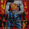 copertina RED HOT CHILI PEPPERS What Hits!? (best)
