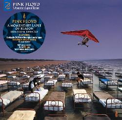 copertina PINK FLOYD A Momentary Lapse Of Reason (remixed & Updated) (cd+dvd)