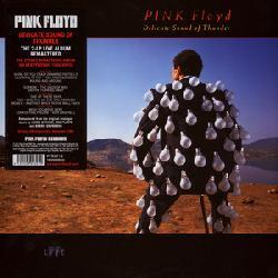 copertina PINK FLOYD Delicate Sound Of Thunder (2lp)