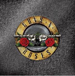 copertina GUNS N' ROSES Greatest Hits (2lp Vinyl Black)