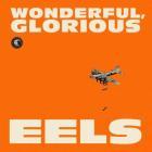 copertina EELS Wonderful,gloriou