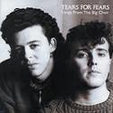 copertina TEARS FOR FEARS Songs From The Big Chair