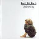 copertina TEARS FOR FEARS The Hurting