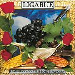 copertina LIGABUE Lambrusco Coltelli Rose & Pop Corn (con Extra Booklet)