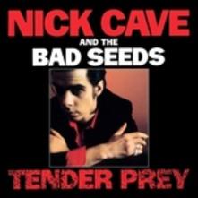 copertina CAVE NICK Tender Prey
